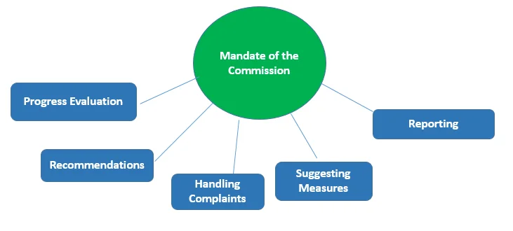 NCM Mandate and Functions